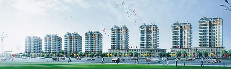 深圳邁德施生物科技有限公司