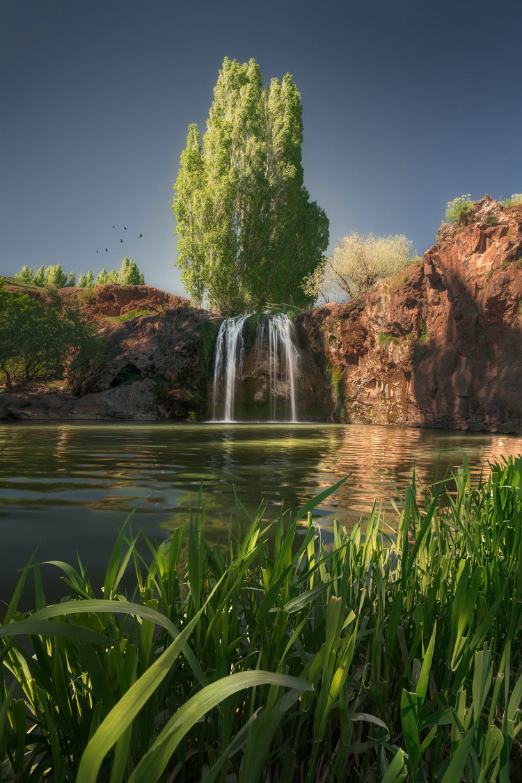 水產養殖業用藥現狀 水產養殖業用藥現狀