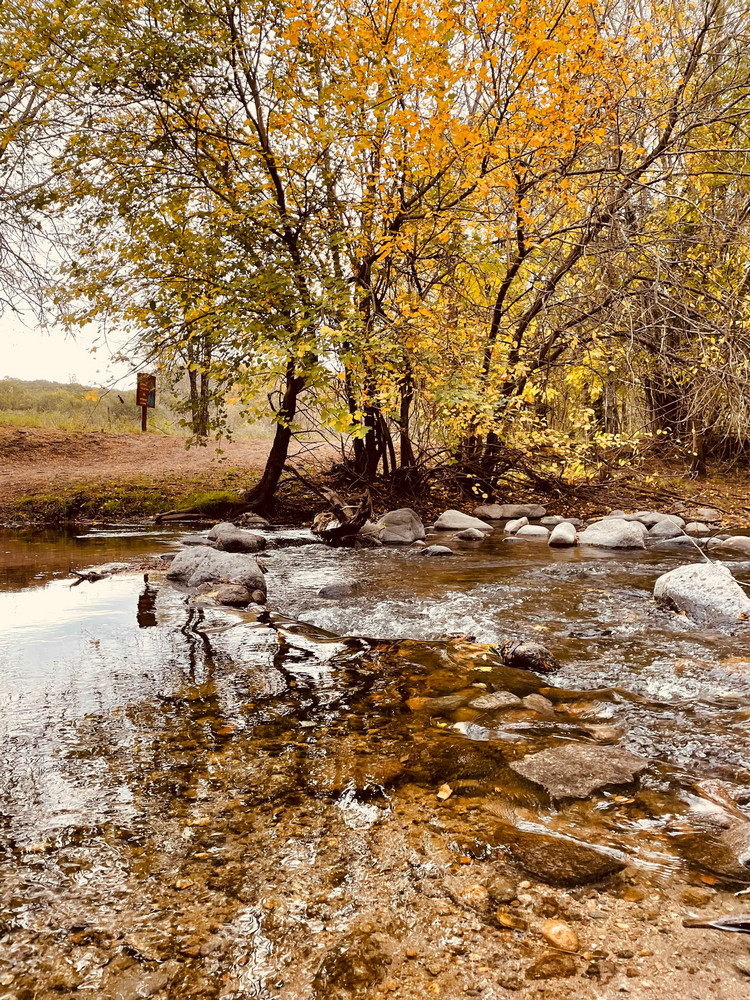 簡單的生活污水處理解決方案