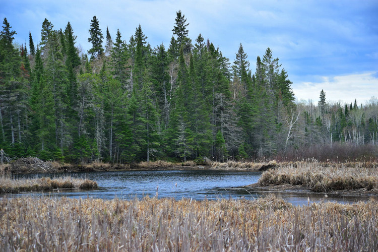 污水檢測指標總結