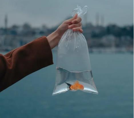 1665624644438119.jpg 水產養殖.jpg