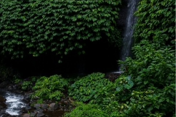 1677138684221162.png 節能減排.png