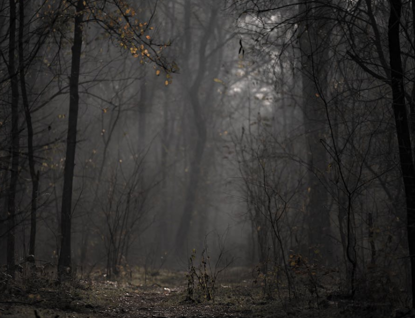 1677139302363403.png 大氣污染.png