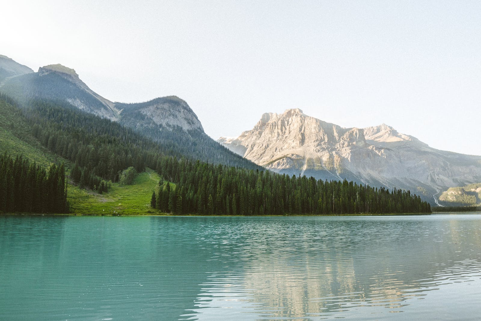 1679117280859198.jpeg pexels-photo-6272232.jpeg